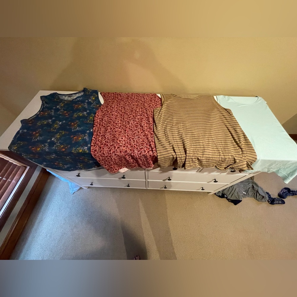 Lot of 4 Sleeve Shirts: 2 Jjill 2 lands End XL